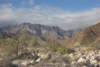 Photo Number 6